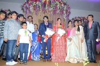 Celebs at Ali Brother Khayum Wedding Reception